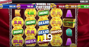 n19,n19.com
